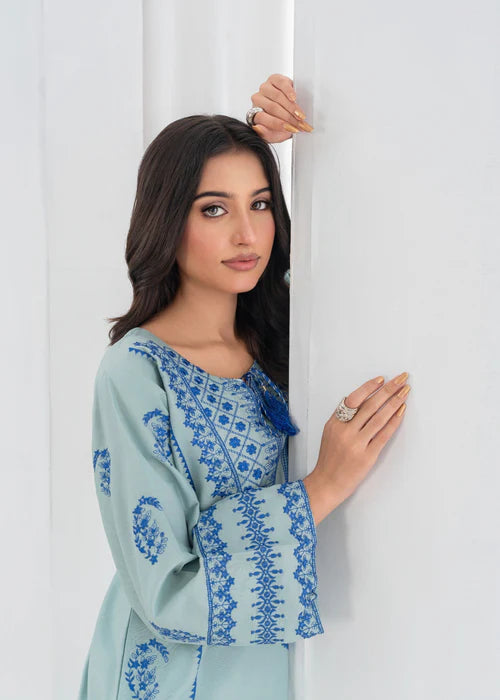 JUGNU FEROZI 2PCS (FARSHI SHALWAR) - Stylish Collection